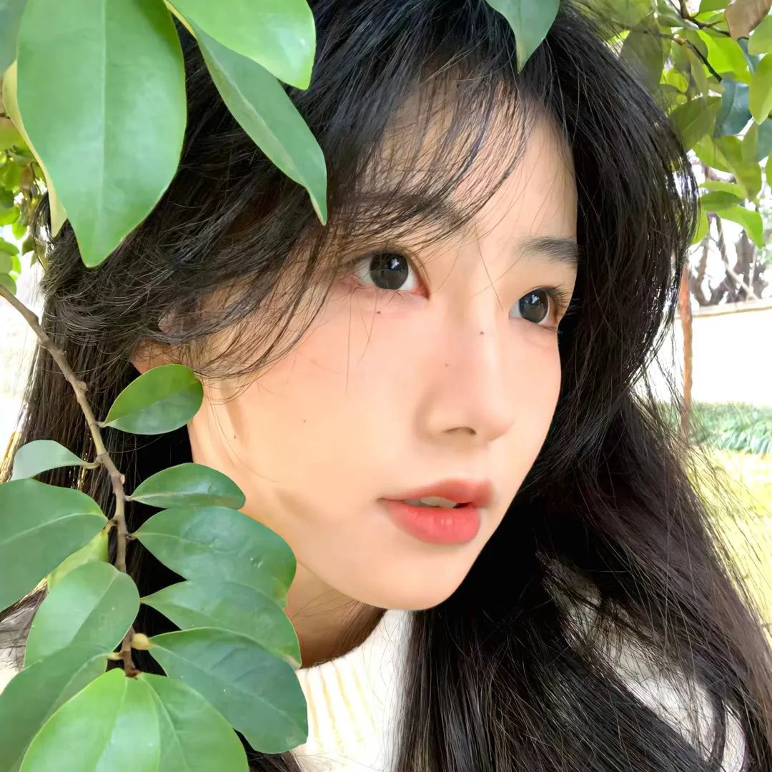 你好,再见